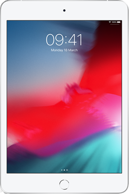 iPad Mini 5 7.9" (2019) on Sky Mobile in Silver